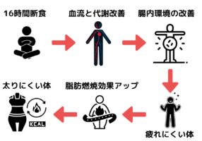 16時間ファスティングの効果はつながっている