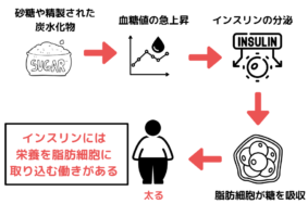 太る原因