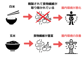 食物繊維と腸内環境